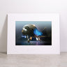 The Boeing X-37B Matted Print – Small by Boeing features a high-resolution digital image of the futuristic X-37B aircraft with its distinctive rounded nose, blue-lit accents, and extended landing gear. Expertly produced to capture every detail, this premium matted print is beautifully presented and displayed on a light surface against a plain white wall.