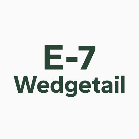 Programs – tagged 