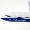 Boeing Unified 737-8 MAX 1:100 Model (2848968474746)
