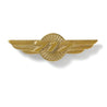 Boeing 717 Wings Pin (6402879558)