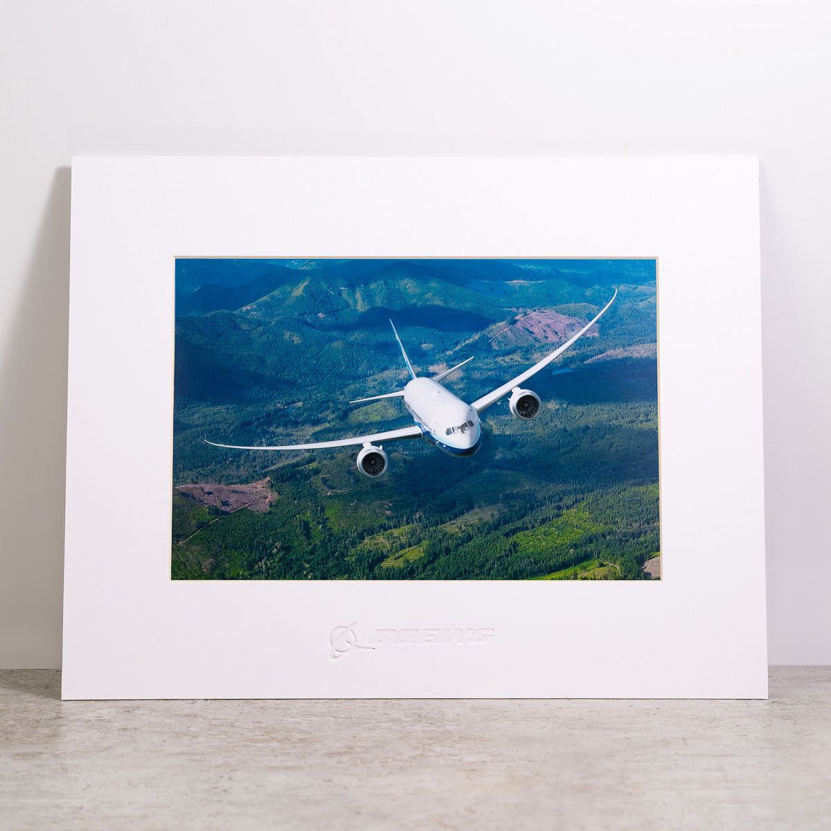 Boeing 787 Dreamliner Matted Print - Small