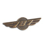Boeing 787 Dreamliner Wings Pin (6403153222)